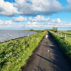 03 weijke_koopmans_wandelen_dijk_hond_haptotherapie